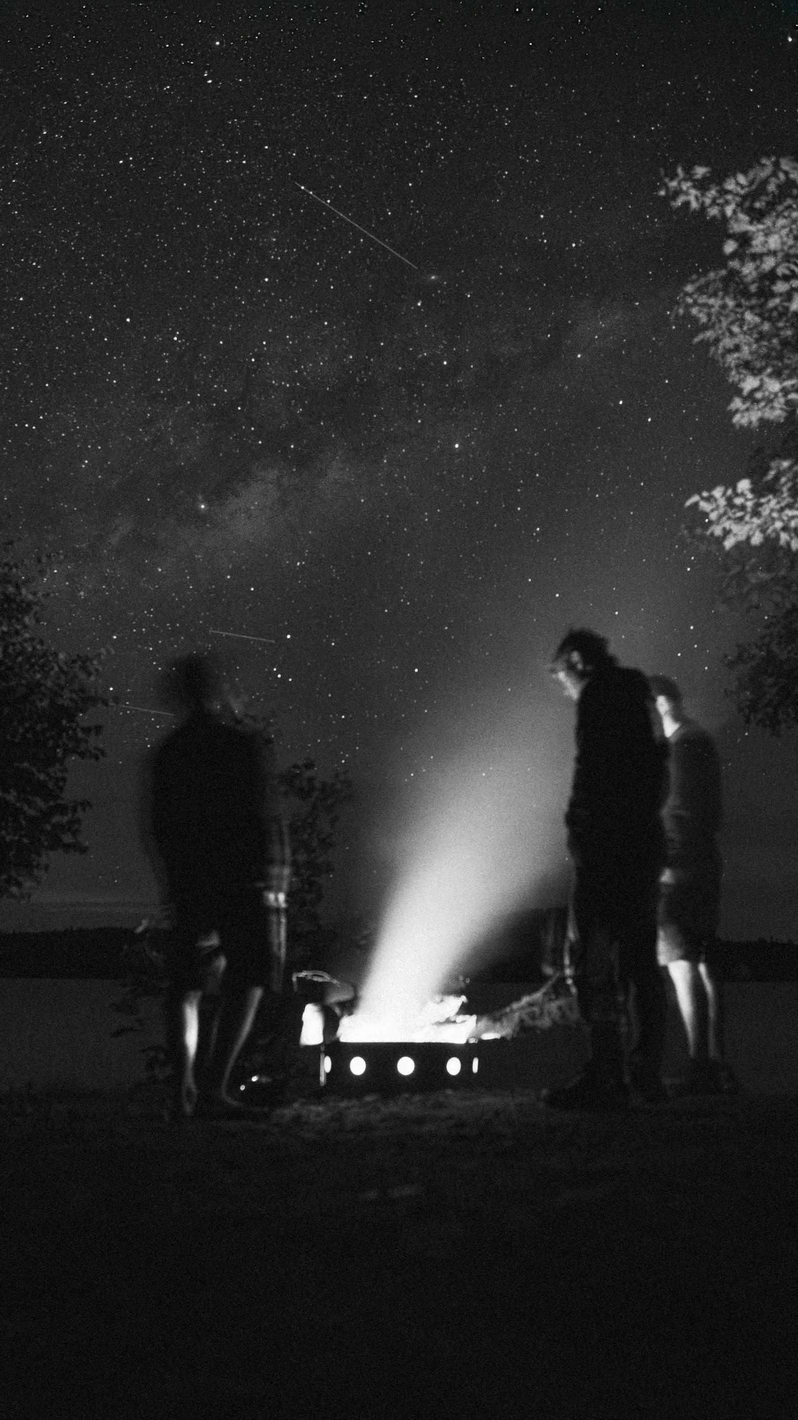 Guests gathered around a campfire under a starry sky